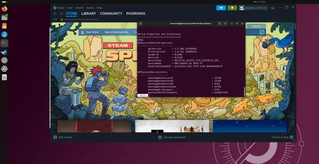 Использование AMDVLK в Steam в Linux