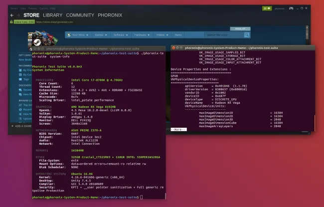 RADV vs. AMDGPU PRO vs. AMDVLK Vulkan Linux Driver Performance