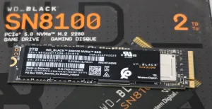 WD_BLACK SN8100 2TB PCIe Gen 5.0 NVMe SSD Linux Benchmarks