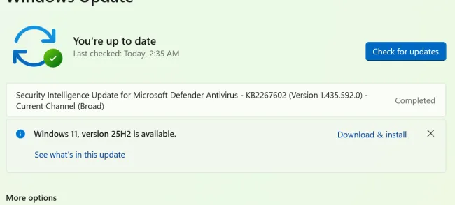 Windows 11 25H2 upgrade