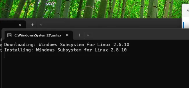 Installing WSL2