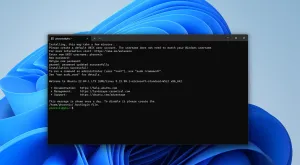 Microsoft Adds Enterprise Security Features To WSL